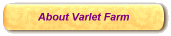 About Varlet Farm